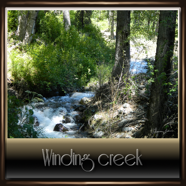 Winding Creek