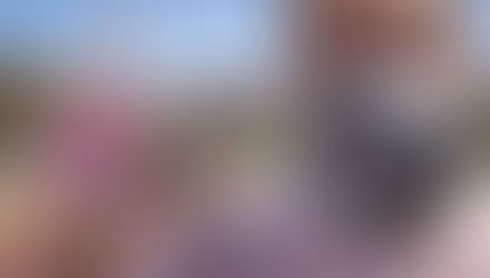 CONTROL AIR QUALITY WITH THE CONNECTED SCARF WAIR