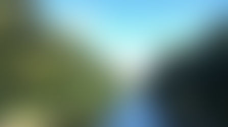 BERLIN OR THE EUROPEAN GREEN CAPITAL!