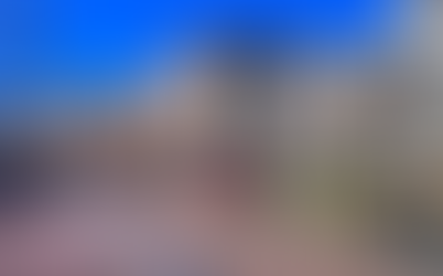 AMSTERDAM, THE CAPITAL OF ECOLOGY