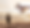 Info Creates Website Photos.png