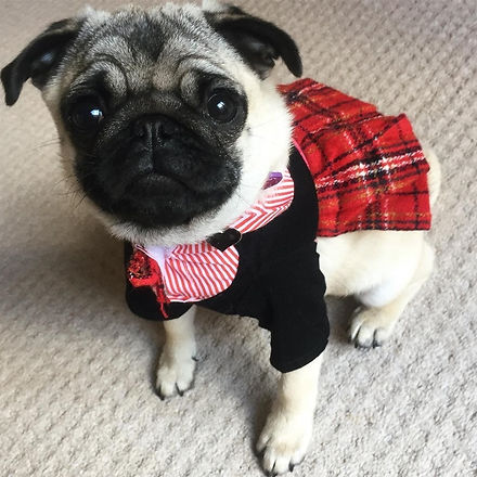 Rosie2.jpg