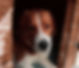 david-popkov-IiXCtsn5jqE-unsplash (1)_edited.jpg