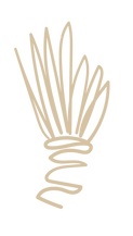 sdasddsaasd-01.png