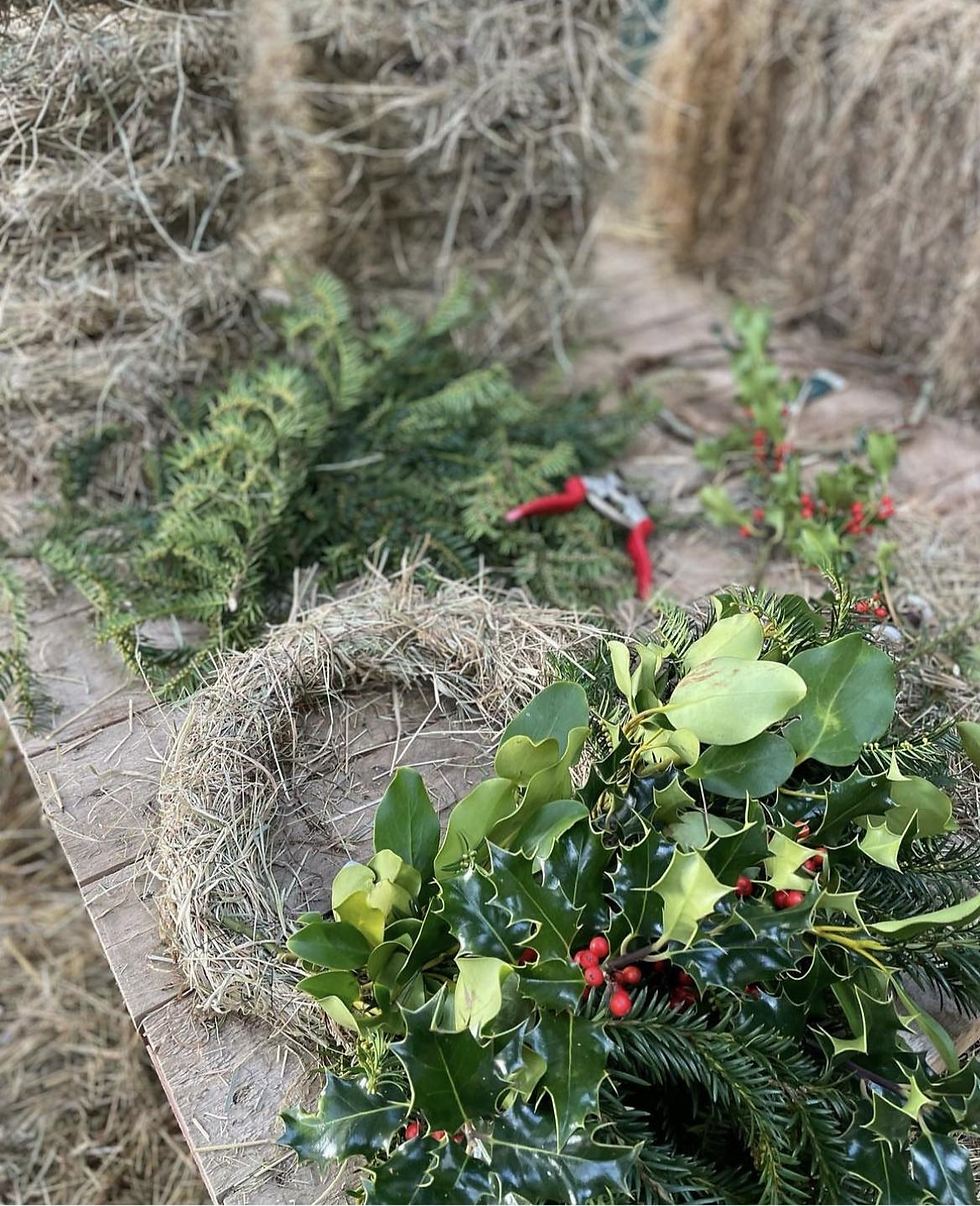 Thumbnail: Christmas Wreath Workshop