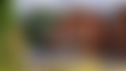 Northview Lodge Nursing Home: A Benchmark for Excellence and Empowerment