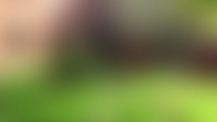 Jack Dormand Care Home: A Model of Personalized and Outstanding Care