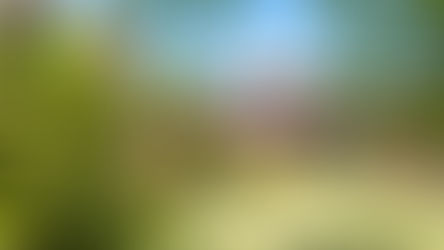 Hassingham House Care Centre: A Haven of Holistic Care and Community Integration