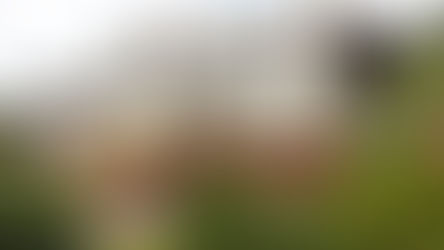 Highwell House Care Home with Nursing: A Pinnacle of Personalized and Innovative Nursing Care