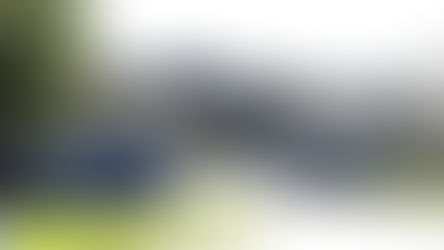 Risby Park Nursing Home: Excellence in Dementia Care and Community Engagement