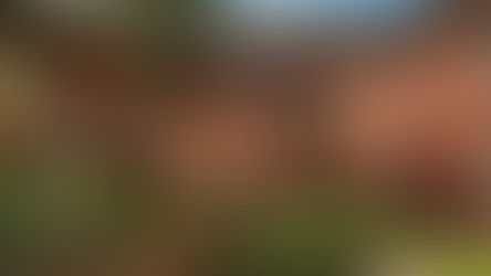 Briar Hill House: A Home of Outstanding Caring and Responsive Service