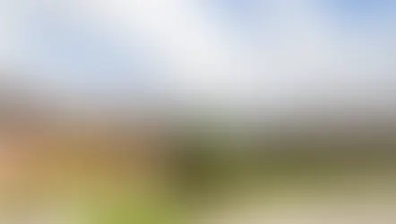 Sutton House: A Paradigm of Empowerment and Care