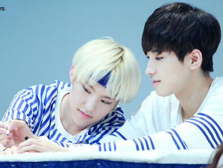 [OS #wonsoon] chocolate & vanilla  ━♡。