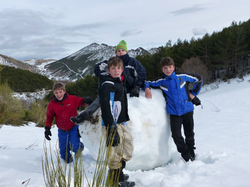 Bola de nieve