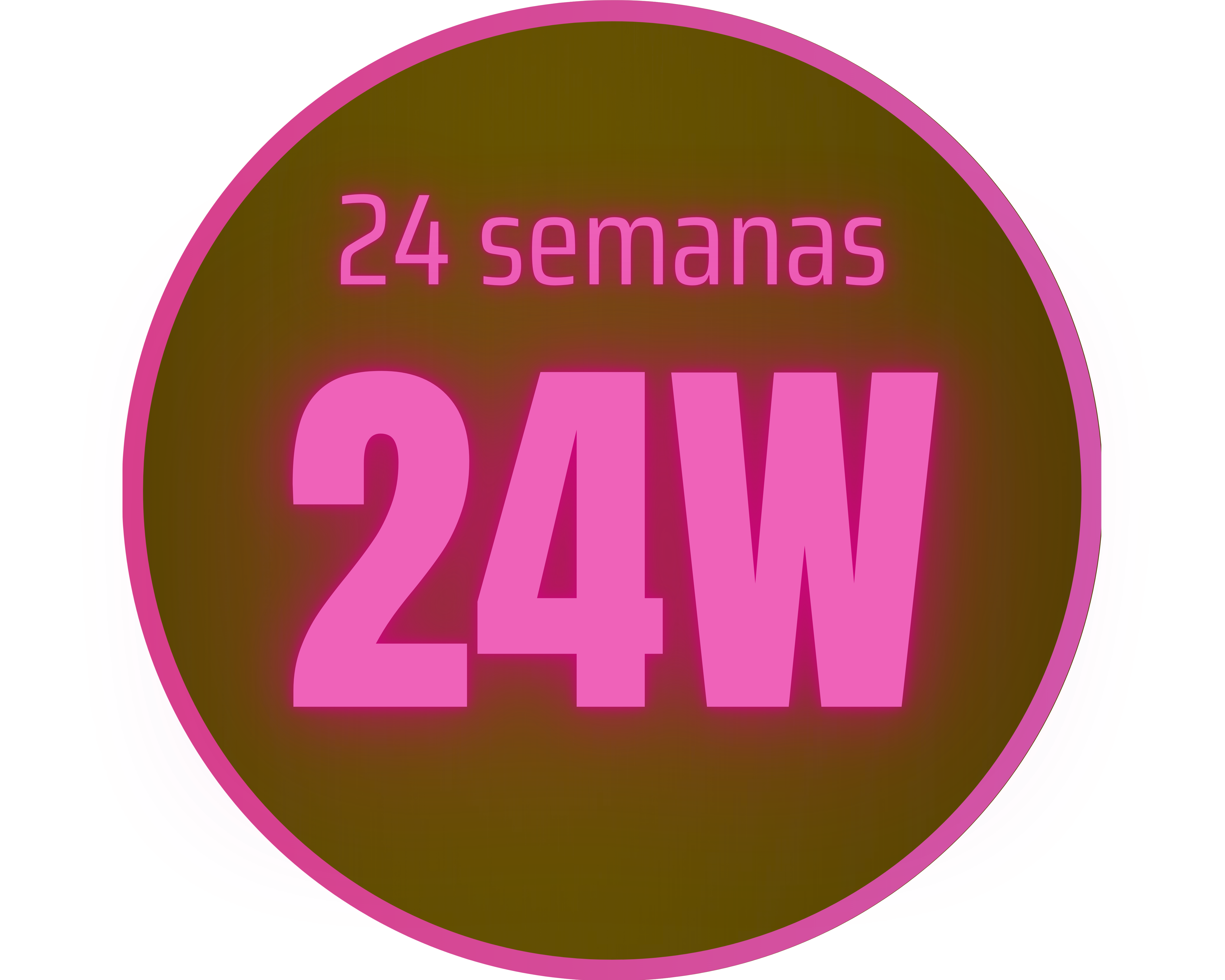 24W - Programa de entrenamiento de 24 semanas