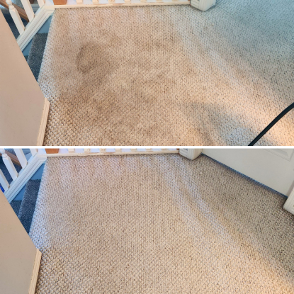 carpet pet stains removal in Calgary