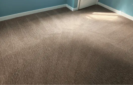 how much carpet cleaning cost in Calgary.webp