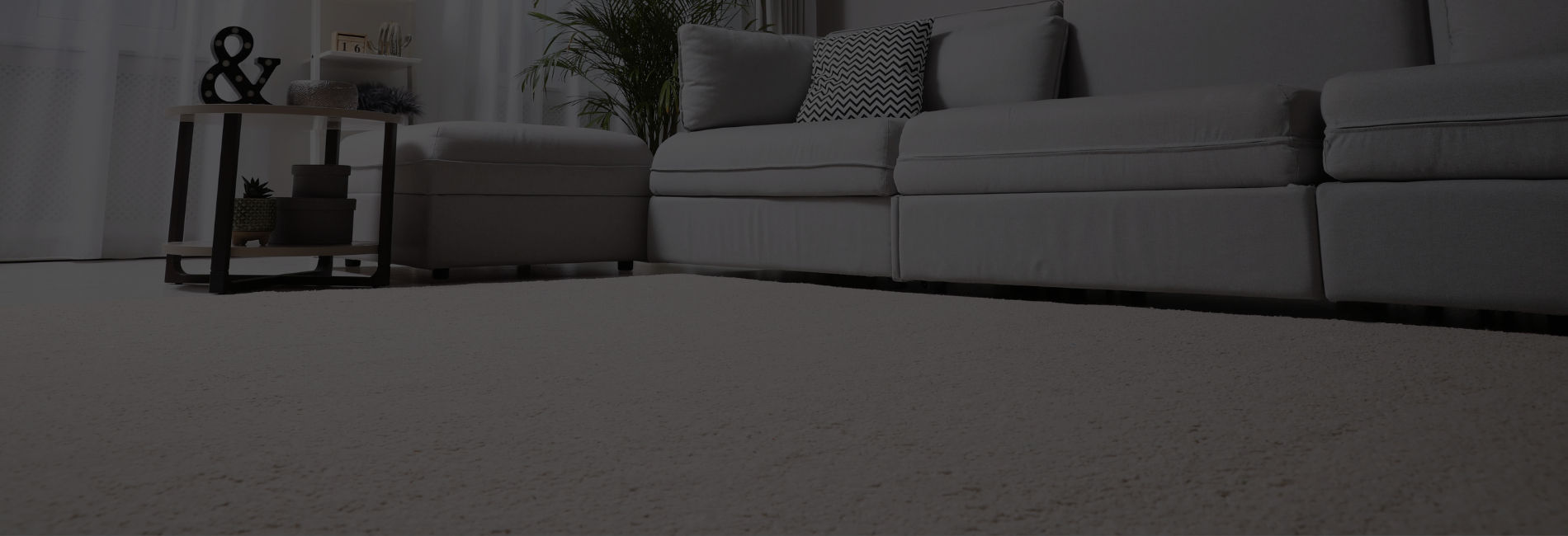 carpet cleaning in Calgary
