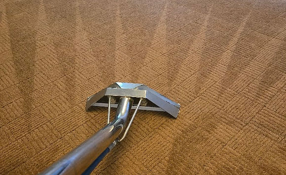 carpet cleaning process