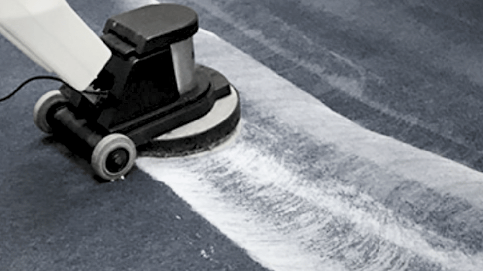 Calgary carpet shampoo cleaning
