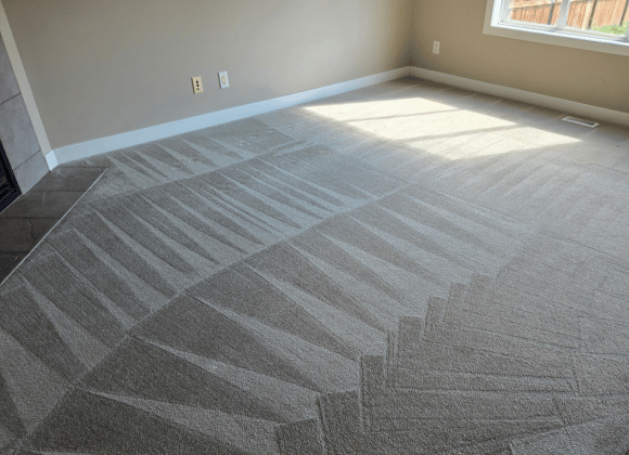 carpet cleaning service in Calgary.png