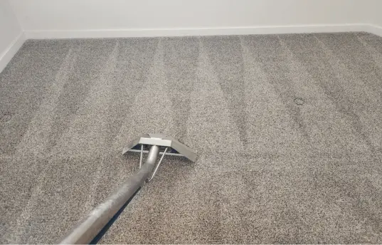 cost of carpet cleaning Calgary.webp