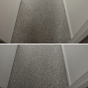apartment berber carpet cleaned in Calgary Alberta