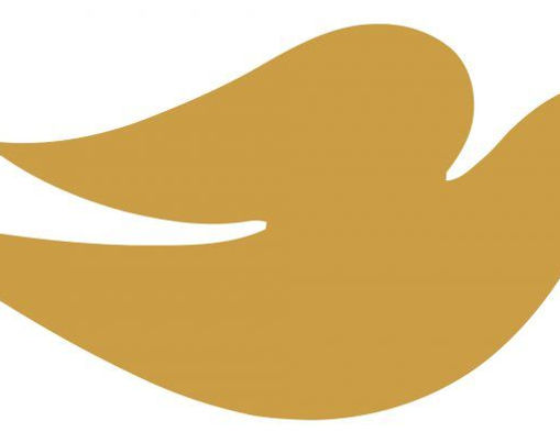 Dove Media Plan
