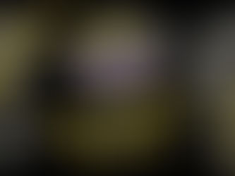 Casa Museo Alk 3: Migración a editor 2022.3