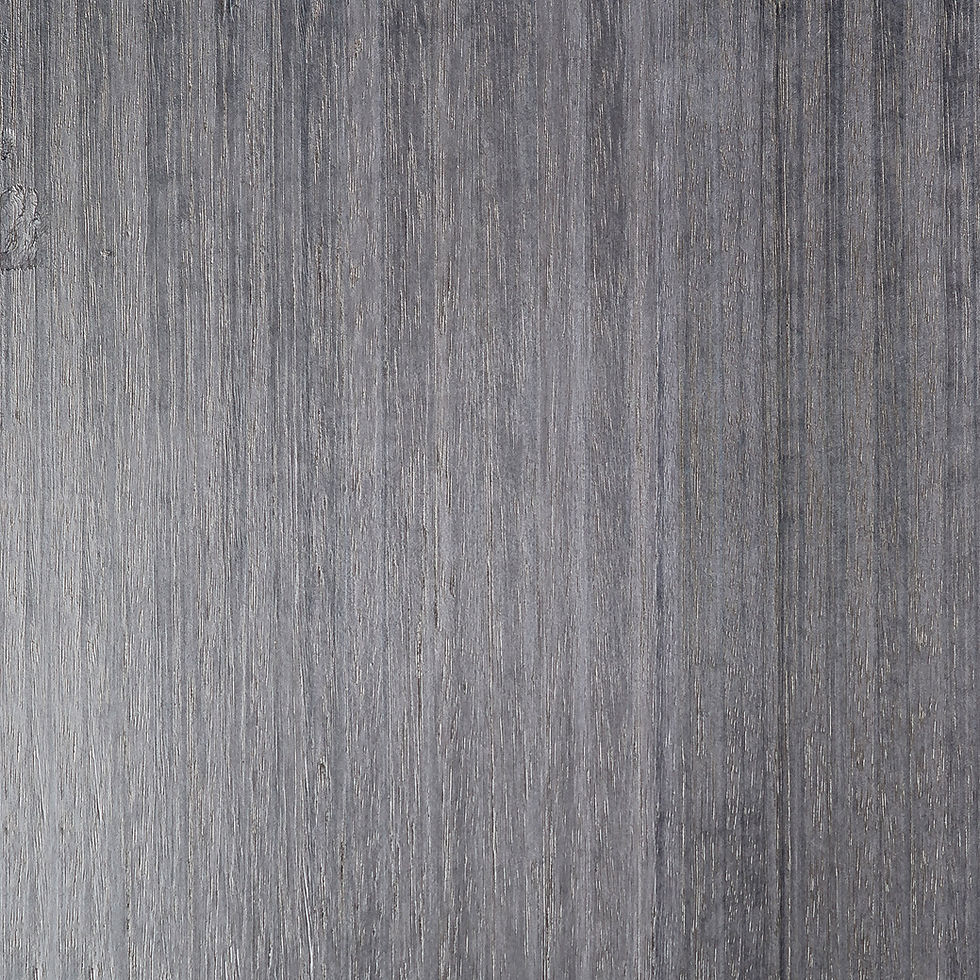 Eucalyptus GAF102 (D)