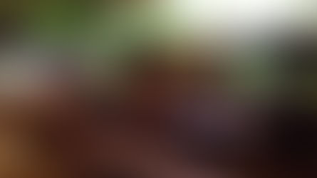 Un Panchakarma dans le Kérala