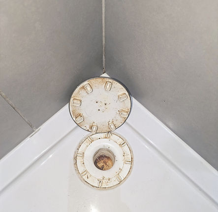 Shower trap buildup_edited.jpg