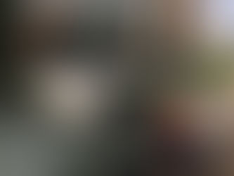 Paradise Found - It's A Piggin' Adventure