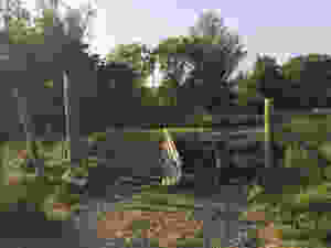 Right Of Way Obstruction