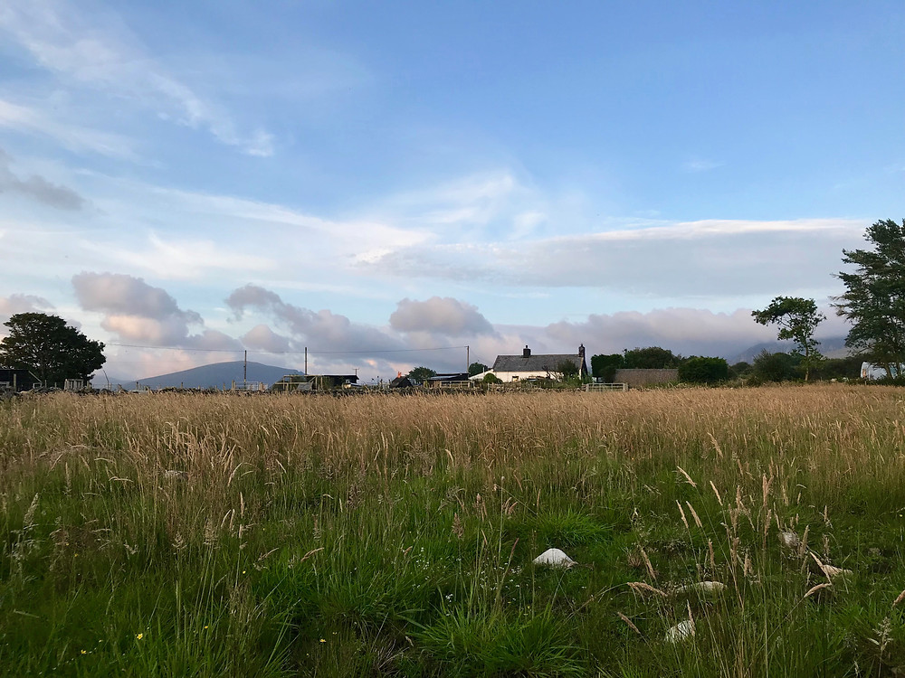 Maes Mawr