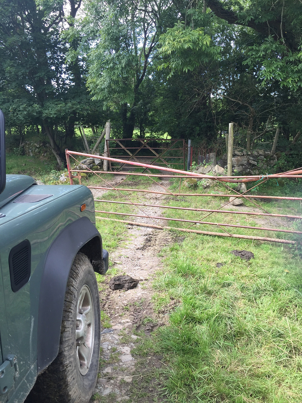 Before the gate to the track was replaced.