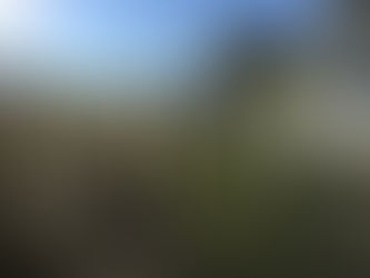 Seeing into the future