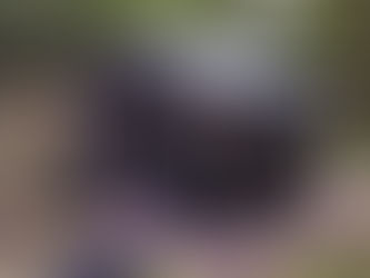 Finding Paradise Part 3 Preparing the Ground