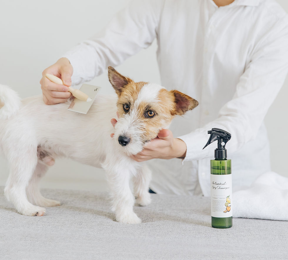 サムネイル： ボタニカル ドライシャンプー