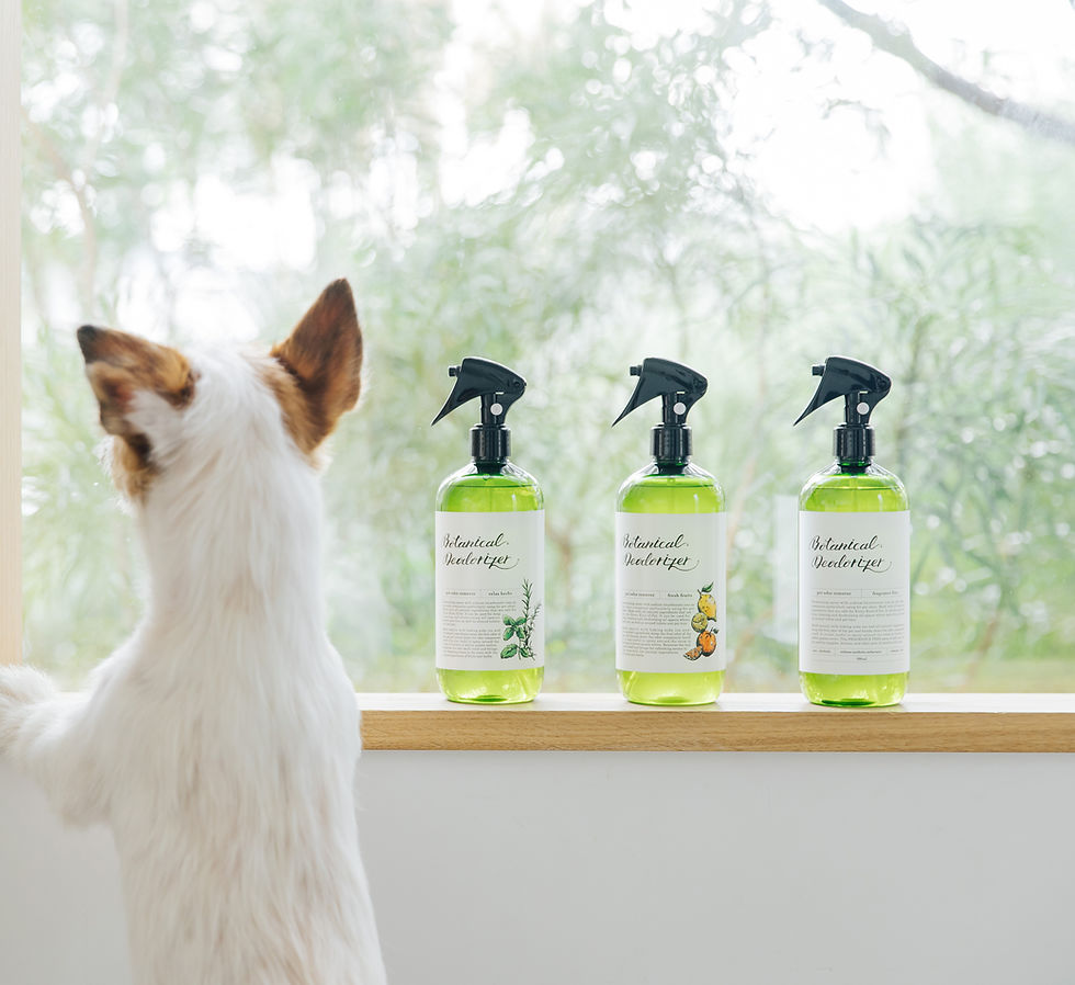 サムネイル： ボタニカル デオドライザー