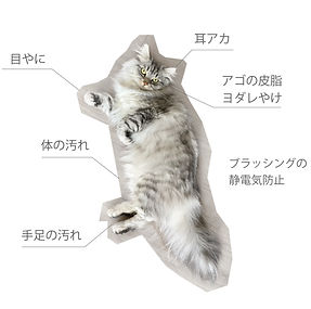 アイテム合同会社 | ナチュラル重曹クリーナー猫用