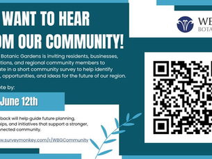 Wellfield Botanic Gardens is gathering community input to help shape their future initiatives and planning. 
