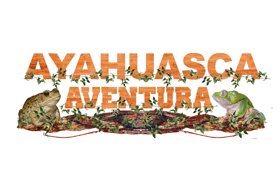 Ayahuasca Aventura