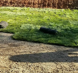 Sod Install_Sod Installation_Sod.jpg