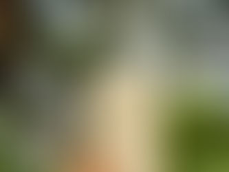 Нойр хулжаам хувьслын түүх ... 