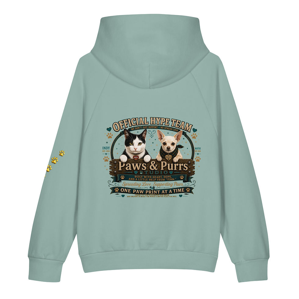 Thumbnail: Official Hype Team super heavyweight hoodie, front and back print and sleeve.