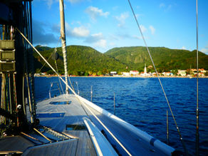 Martinique : l'île aux fleurs