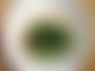 Snabbaste snabbmaten