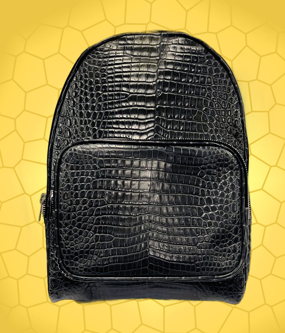 backpack  RA 01
