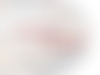 Premiere of "Visiting a Fairy Tale"